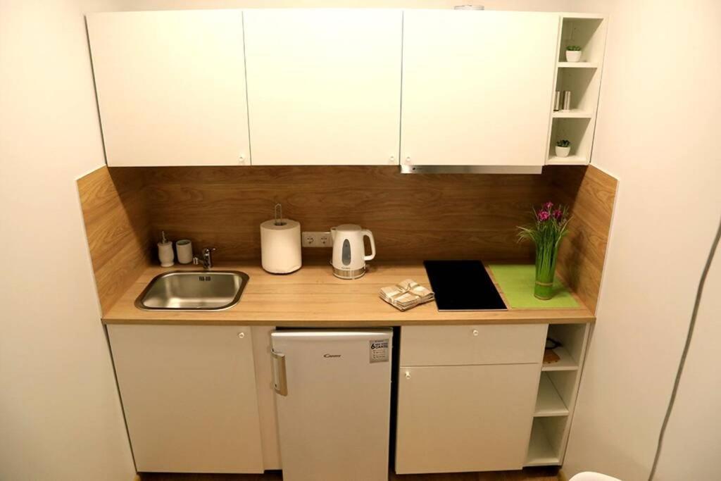 Bright Apartment,For 1-4,Near Old Town ヴィリニュス エクステリア 写真
